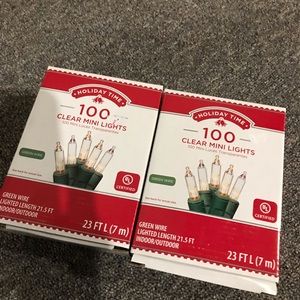 Holiday Lights-100 clear mini lights